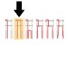 YAMAHA R1 2012 2014 Goodridge braided brake lines – NON ABS front and rear Twin layout kit front and rear 3 line kit - Image 4