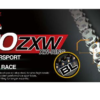 RK 520ZXW x 120L XW Ring Chain Black and Gold  RL x 120L RK TAKASAGO's Ultimate Race 'XW' SEAL-RING 520 Drive Chain PAY LESS for this on our website (Copy)